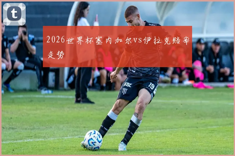 2026世界杯塞内加尔vs伊拉克赔率走势