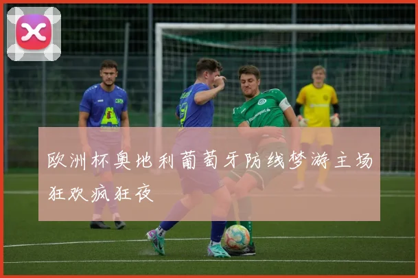 欧洲杯奥地利葡萄牙防线梦游主场狂欢疯狂夜