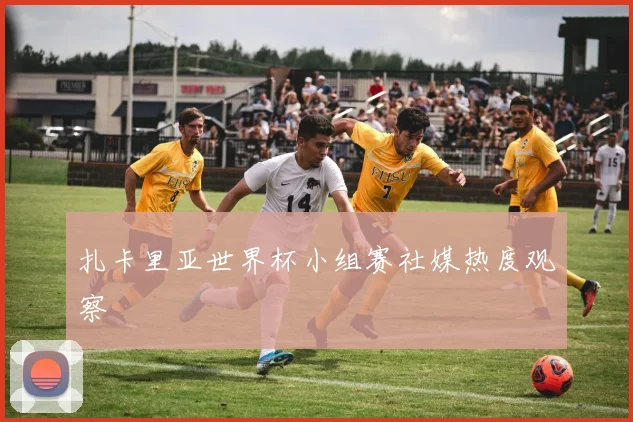 扎卡里亚世界杯小组赛社媒热度观察
